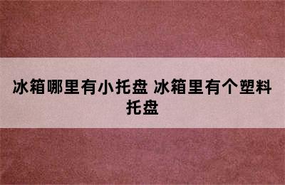 冰箱哪里有小托盘 冰箱里有个塑料托盘